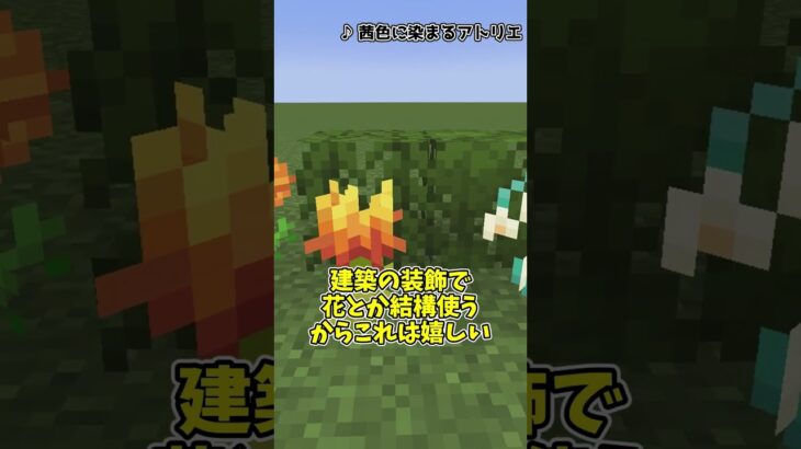 【マイクラ】Biomes O’ Plenty　part2【MOD紹介】 #マインクラフト #ゆっくり実況 #mod紹介