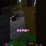 森林のBlockhunt【マイクラ】