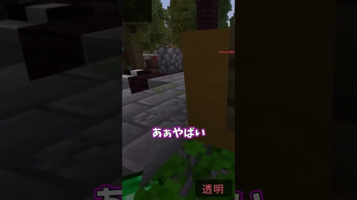 森林のBlockhunt【マイクラ】