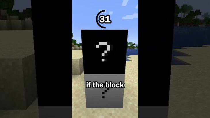 Guess the Minecraft block in 60 seconds 27