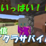 MODめちゃ入れてきた‼超便利サバイバル【マインクラフト】＃マインクラフト＃マイクラ＃生配信