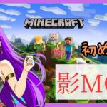 【マインクラフト】統合版Minecraftでおためし影mod！綺麗過ぎて感動【村人キューブ】