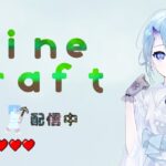 【マインクラフト】　Part.2　まだまだ村人の家に居候w