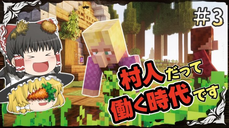 【マイクラ】霊夢さんは剣と魔法の世界で村を造りたいPart3【ゆっくり実況】