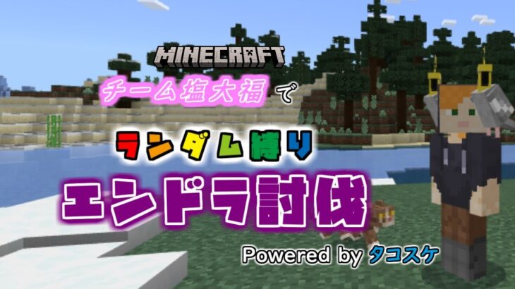 〖マイクラ〗チーム塩大福で　ランダム縛りエンドラ討伐　Powered by タコスケ　《視点配信》　#minecraft