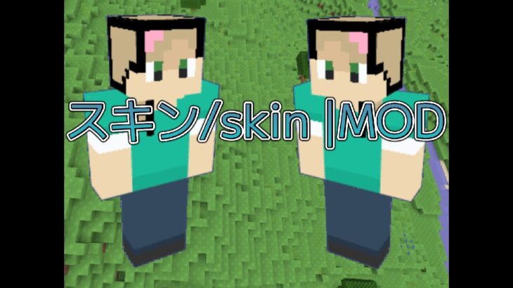 【bloxd】スキン/skin MOD
