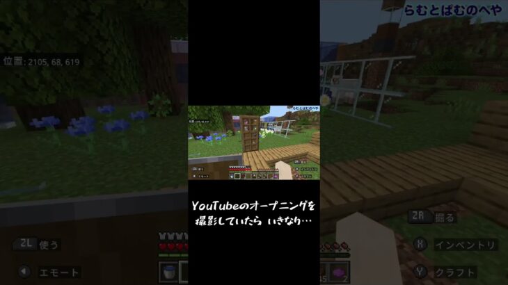 【らむぱむ】せっかく作った家なのに…#minecraft # #マインクラフト #マイクラ