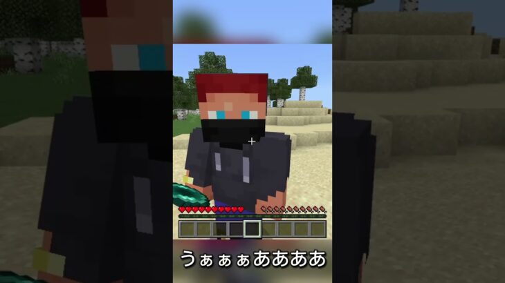 #minecraft #マイクラ #shorts 手を横に、