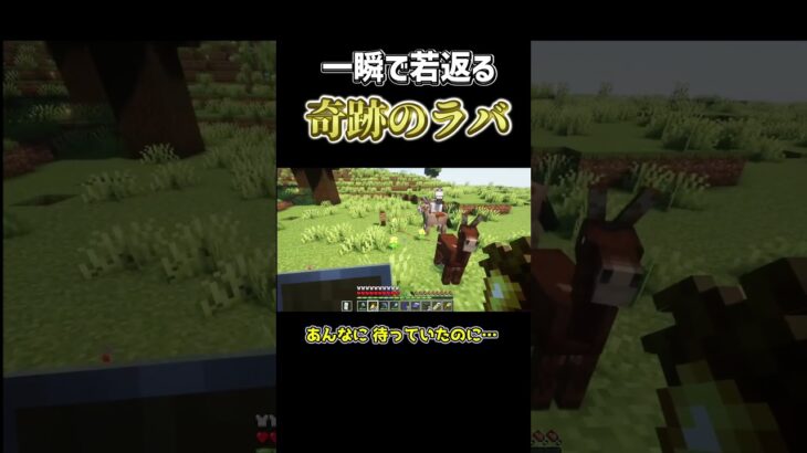 【未公開シーン】魔法のような ホントの話 #マイクラ #shorts