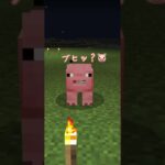 何してもダメな僕だけど…🐖【マイクラ】#shorts