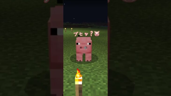 何してもダメな僕だけど…🐖【マイクラ】#shorts