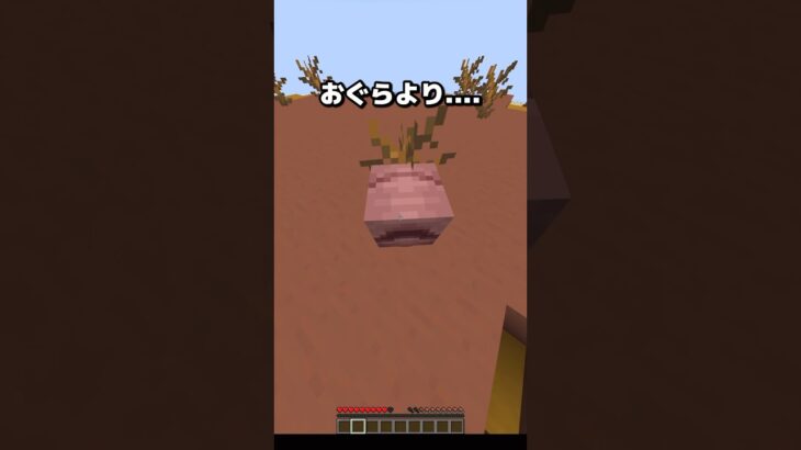 【アルマジロ】マイクラでおぐらよりインキャな生き物発見！　#shorts