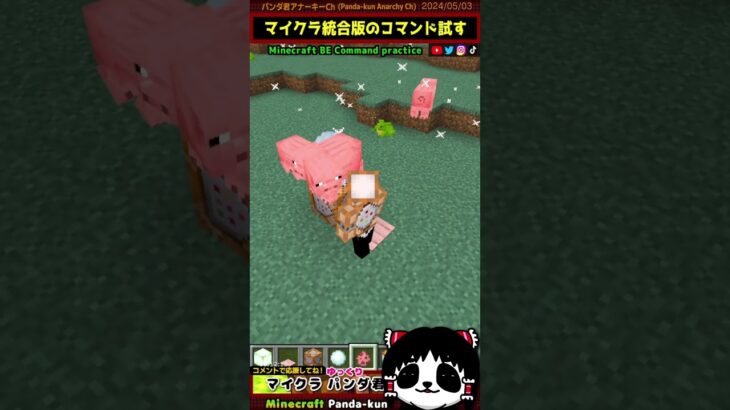 エンティティ召喚[/summon pig] 豚を出す【統合版コマンド/マインクラフト】