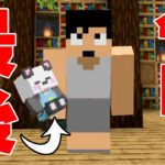 【お知らせ】さんだー人形と冒険行ったらまさかの結末が😢【マイクラ】