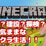 マインクラフト  ライブ 配信中 桜の家つくるんだ！