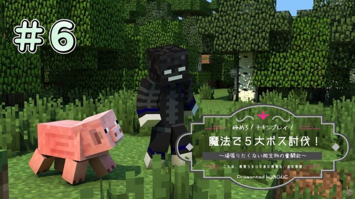 極めろ！チキンプレイ！魔法で５大ボス討伐！＃６【マイクラ】