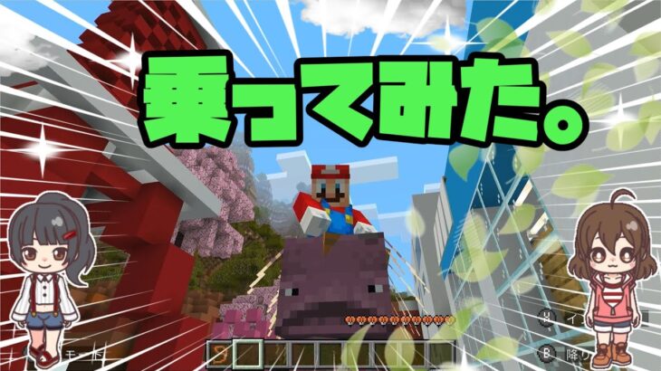 ゲーム初心者の女子２人が、マイクラで実況してみたよ！！今回はストライダーのストちゃんと町でお散歩。あいつ乗れるんだぜ！家の建築もあるよ！まだまだマインクラフト初心者だけど頑張って作ったよ！