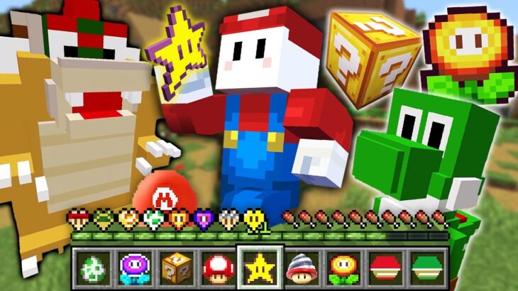 マリオのアイテムが作れる世界でサバイバル【マインクラフト】