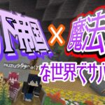 [マイクラ/雑談配信]地下帝国×魔法！？な世界で遊ぶぞ！