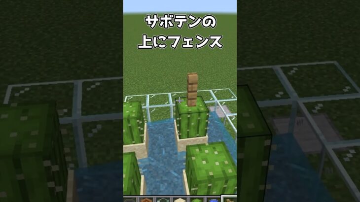 【マイクラ統合版】1.20.81対応超簡単サボテン式骨粉製造機【PE/PS4/Switch/Xbox/Win10】#マイクラ #マインクラフト #minecraft