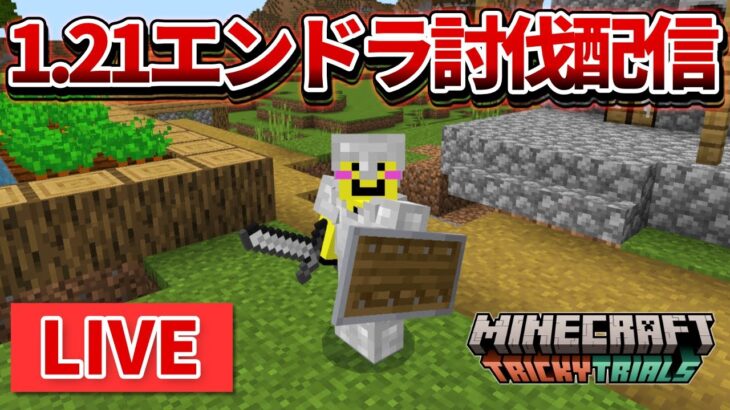 🔴【マイクラ】1.21来たので新ワールドでエンドラ討伐していく！(後編)