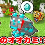 【マイクラ】なにこのオオカミ!?😱❤️新種のオオカミ10匹捕まえるまで終われませんやってみたら…【マインクラフト】【マイクラ統合版】【Minecraft】