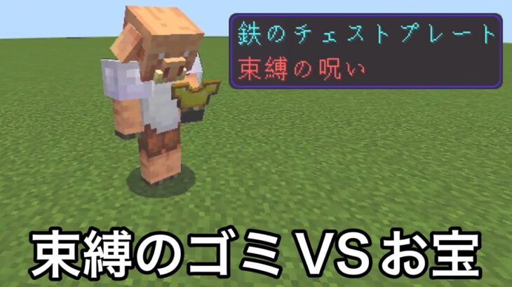 【マイクラ】気になるが誰も試さない究極の小ネタ・検証9連発.. ～役に立たないが気になる小ネタを一気に検証したら奇跡が起きた..〜【マインクラフト】【まいくら】【雑学】【裏技】