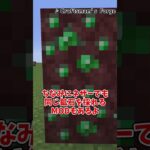 【マイクラ】Basic End Ores【MOD紹介】 #マインクラフト #ゆっくり実況 #mod紹介