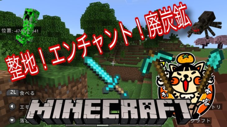 【マイクラ】整地または防具にエンチャントつけまたは廃炭鉱探索【整地】【MINECRAFT】【携帯】【縦型配信】【スマホ】【switch版】【マインクラフト】