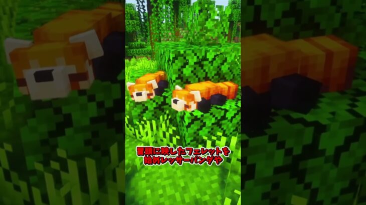 たまにはかわいい動物で息抜きでもどう～？【MOD紹介】 #マイクラ #mod紹介