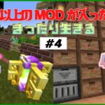 【マイクラ】大型MODパックRAD2の世界でまったり生きる#4~魔法と収納~