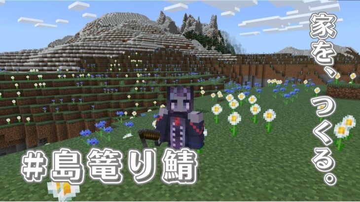 【Minecraft】#島籠り鯖 家とか採掘とかあーだこーだ【戈星ヱニス】