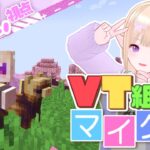 【＃Minecraft 】MODマイクラ：VT組鯖／いきなりエンドラ討伐!!（期待）03【一縷世界：視点】