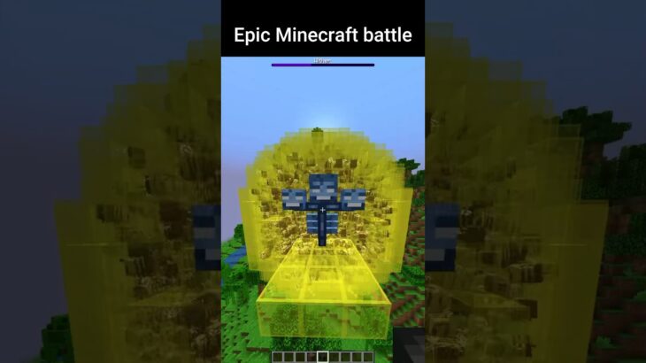 Minecraft fight