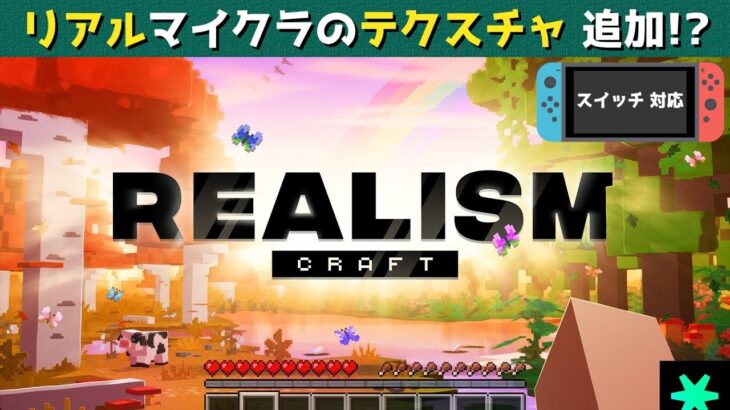 【統合版マイクラ】スイッチ対応のリアルなテクスチャ「リアリズムクラフト/Realism Craft」と新アドオン6選!? マーケットプレイス情報【Switch/Win10/PE/PS4/Xbox】