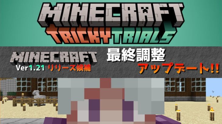 【マイクラ情報】Ver1.21 リリース候補で最終調整アップデート!! Java版マインクラフト・リリース候補1 今後のアップデート情報
