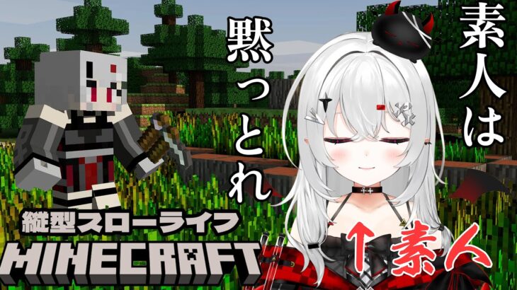 【#minecraft 】マイクラまったりスローライフ🌳【 #新人vtuber  #宵吸あけル 】