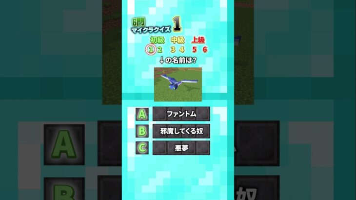 全問正解できるかな！？ part12 #クイズ #マインクラフト  #暇つぶし