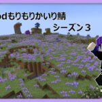 【マイクラ】鍛冶と魔法を極めるpart3