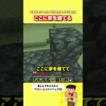 ここに家を建てるぞ【マイクラ】#shorts