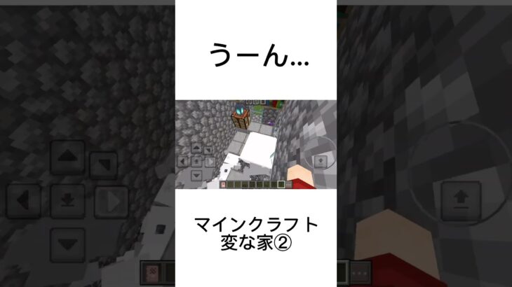 【マインクラフト】~~~どこが変なのかなぁー★『変な家』②