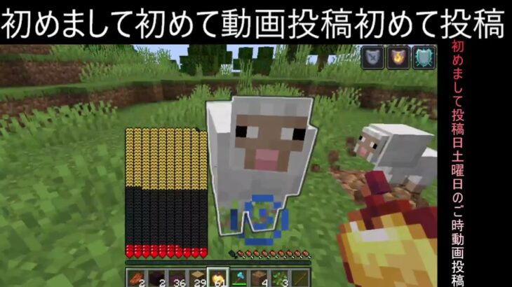 サバイバルクリエイティブエフェクトコマンド　マインクラフト