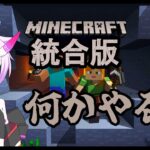 なんかの建築作業だよ！　【マイクラ雑談】　#マインクラフト　#マイクラ　#vtuver  #MINECRAFT