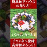 【マイクラ建築】序盤から作ったほうがいい簡単地下拠点の作ってみた！ 1.20　Minecraft​　ソラクラ　#shorts