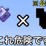 【マイクラ】装備の隠し効果が逆に邪魔することに.. ～海外で噂となった1.21の新要素検証10連発～【マインクラフト】【まいくら】【雑学】【裏技】【小ネタ】