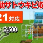 1.21対応【マイクラ統合版】毎時2,500個！全自動サトウキビ＆竹収穫機の作り方【PE/PS4/Switch/Xbox/Win10】ver1.21