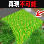 【海外検証】謎が多すぎるマインクラフト11選【ゆっくり実況】【マイクラ】