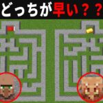 【海外検証】謎が多すぎるマインクラフト12選