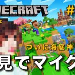 【マイクラ】一級建築士が初見でマイクラを配信 #22【Minecraft / マインクラフト / 配信 / 実況】