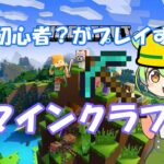 初心者がするマインクラフト6日目　家を作っていくよ　縦型配信